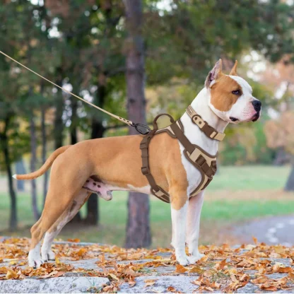 No Pull Harness with Adjustable Strap - Image 5