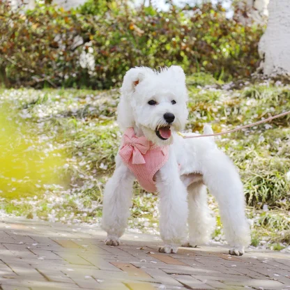 Comfortable Harness with Cute Bowknot Decor - Image 5
