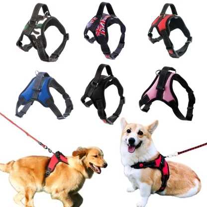 Durable Harness with Adjustable Strap - Image 2
