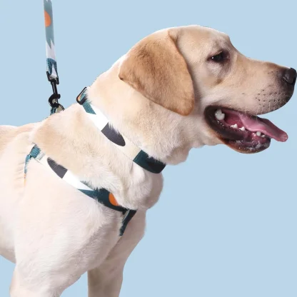 Adjustable Pet Harness with Abstract Pattern - Image 3