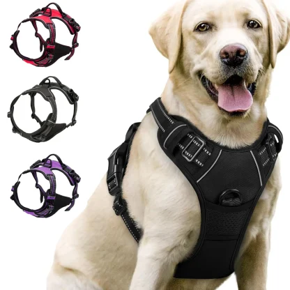 Dual-Clip Adjustable Vest Harness
