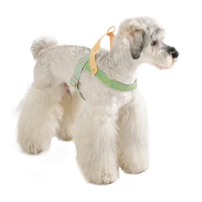 Breathable Pet Harness with Creative Pattern - Image 2