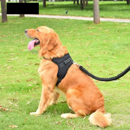 Classic Vest Harness with Durable Buckle - Image 4
