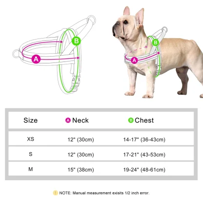 Solid Color Harness with Dual Clip - Image 4