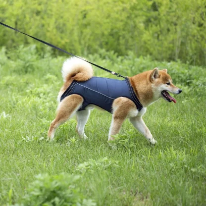 Rehabilitation Sling Padded Harness for Dogs - Image 4