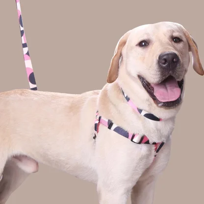 Adjustable Pet Harness with Abstract Pattern - Image 2