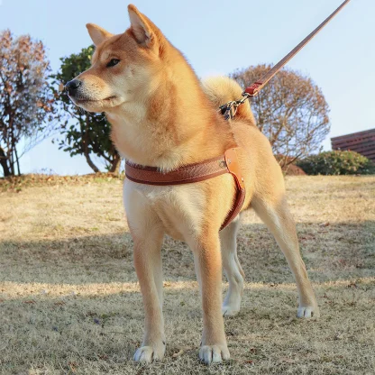 Simple Adjustable Harnesses for Dogs - Image 9