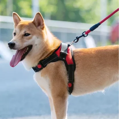 Classic Vest Harness with Durable Buckle