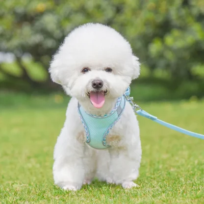 Comfortable Vest Harness with Reflective - Image 13