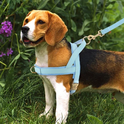 Simple Cushion Adjustable Harness - Image 10