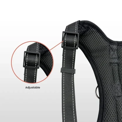 Adjustable Harness with Durable Buckle - Image 7