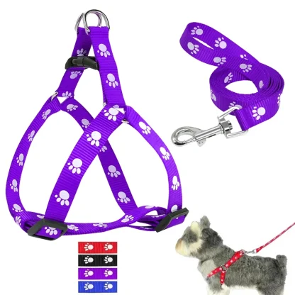 Paw Print Pet Harness with Leash - Image 2