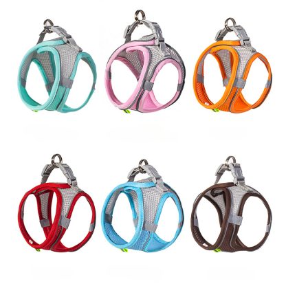 Breathable Harness for Small Dogs - Image 7