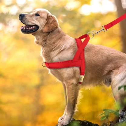 Simple Cushion Adjustable Harness - Image 13