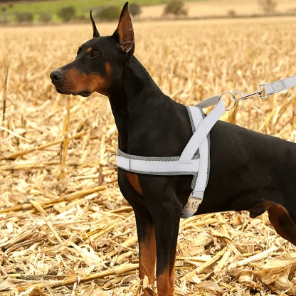 Simple Cushion Adjustable Harness - Image 3
