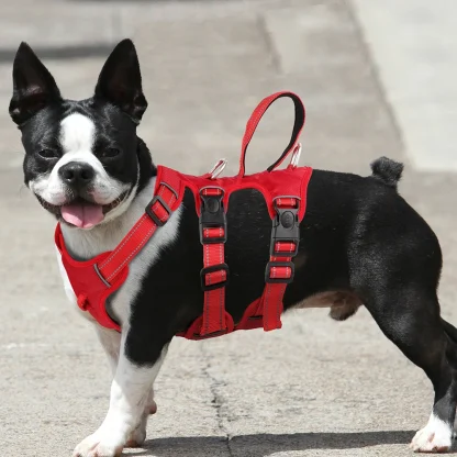 Multi Body Strap Padded Harness - Image 3