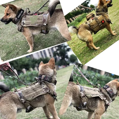 Tactical Dog Harness with Durable Buckle - Image 5