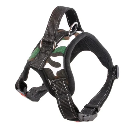 Durable Harness with Adjustable Strap - Image 9