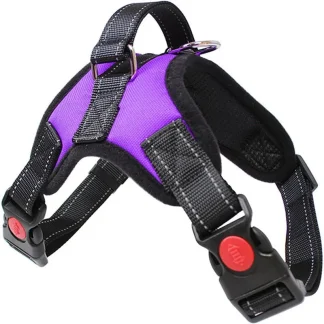 Adjustable Harness with Durable Buckle