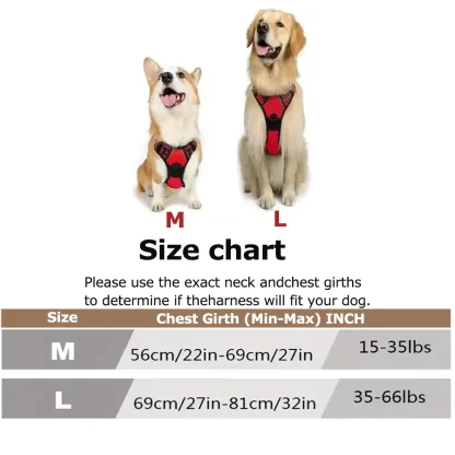 Dual-Clip Adjustable Vest Harness - Image 3