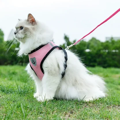 Breathable Harness with Matching Leash - Image 12