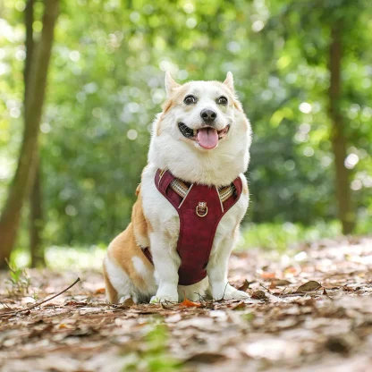 Durable Waterproof Harness for Dogs - Image 4