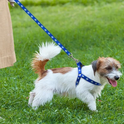 Paw Print Pet Harness with Leash - Image 5