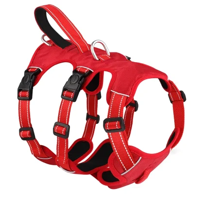 Multi Body Strap Padded Harness - Image 7