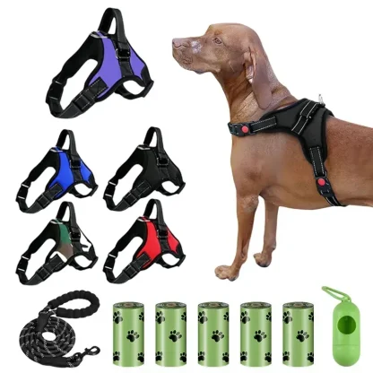 Adjustable Harness with Durable Buckle - Image 2