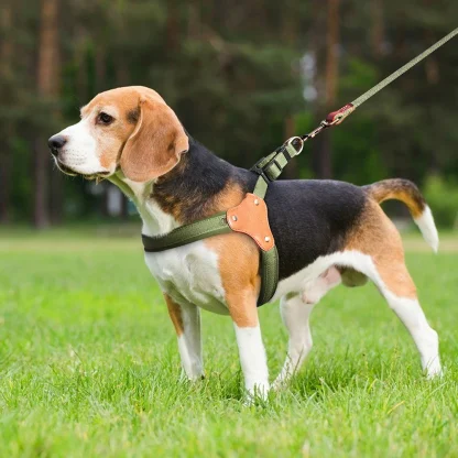 Simple Adjustable Harnesses for Dogs - Image 8