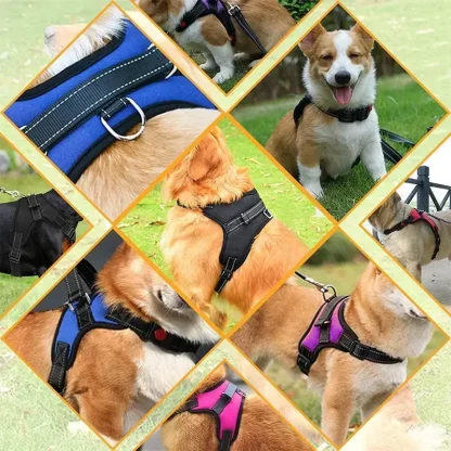 Adjustable Harness with Durable Buckle - Image 3