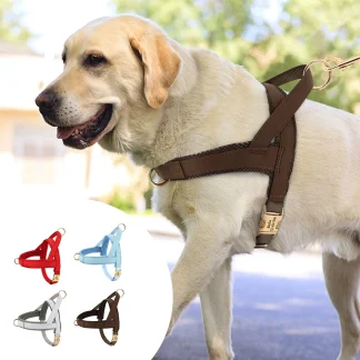 Simple Cushion Adjustable Harness