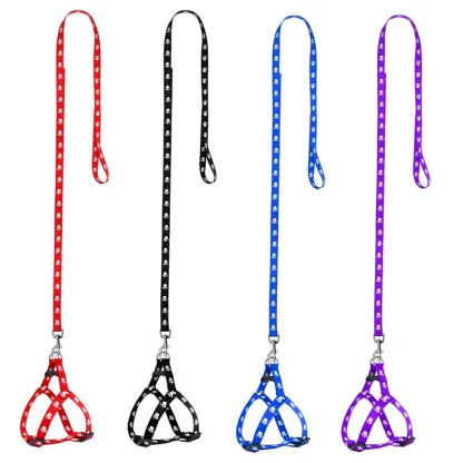 Paw Print Pet Harness with Leash - Image 9