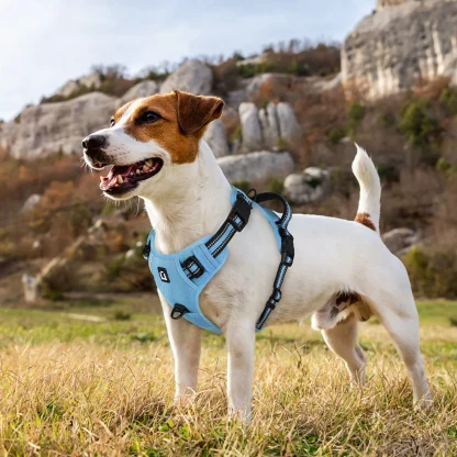 Vest-style Harness with Reflective Trim Strap - Image 4