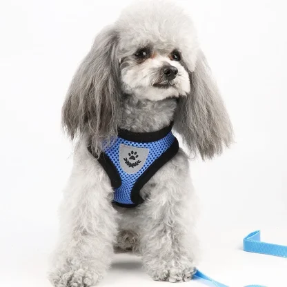 Breathable Harness with Matching Leash - Image 2