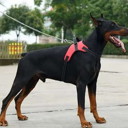Classic Vest Harness with Durable Buckle - Image 5