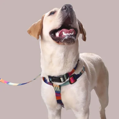Adjustable Pet Harness with Abstract Pattern - Image 4