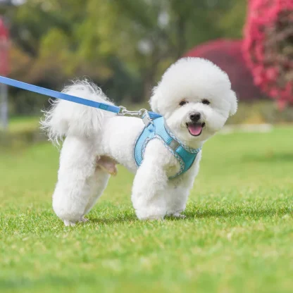 Comfortable Vest Harness with Reflective - Image 11