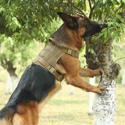 Tactical Dog Harness with Durable Buckle - Image 7