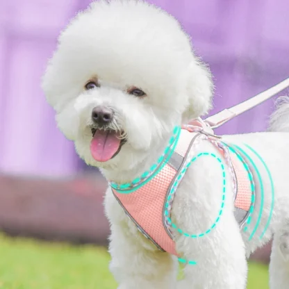 Comfortable Vest Harness with Reflective - Image 10