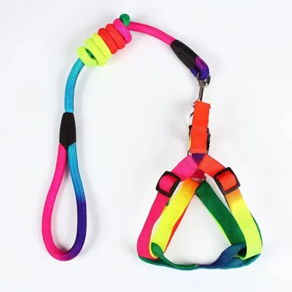 Colorful No-Pull Pet Harness with Adjustable - Image 3
