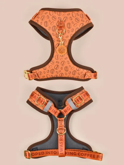 Printed Comfortable Harness with Cute Pendant - Image 12