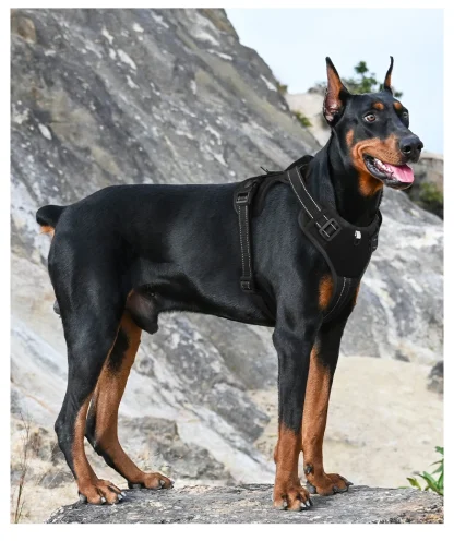 Reflective Vest Harness for Dogs - Image 9