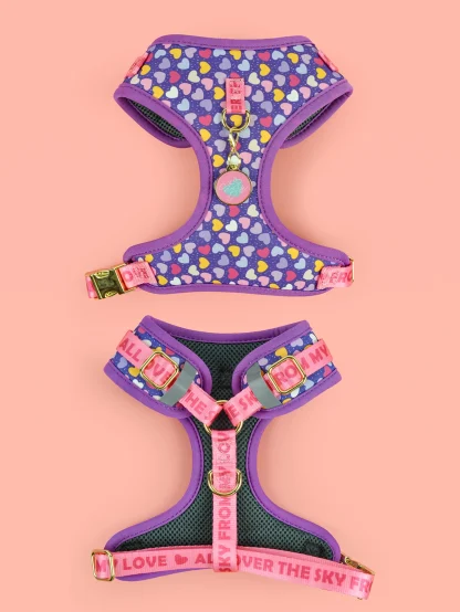 Printed Comfortable Harness with Cute Pendant - Image 7