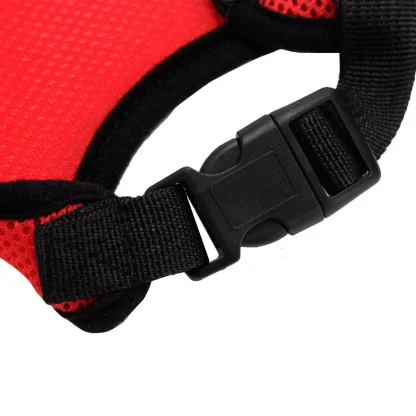 Breathable Harness with Matching Leash - Image 13