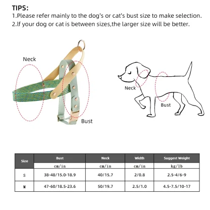Breathable Pet Harness with Creative Pattern - Image 4