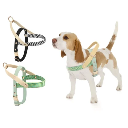 Breathable Pet Harness with Creative Pattern