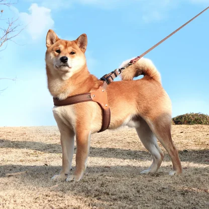 Simple Adjustable Harnesses for Dogs - Image 7