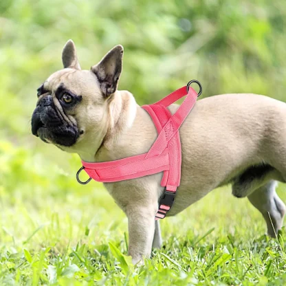 Solid Color Harness with Dual Clip - Image 11
