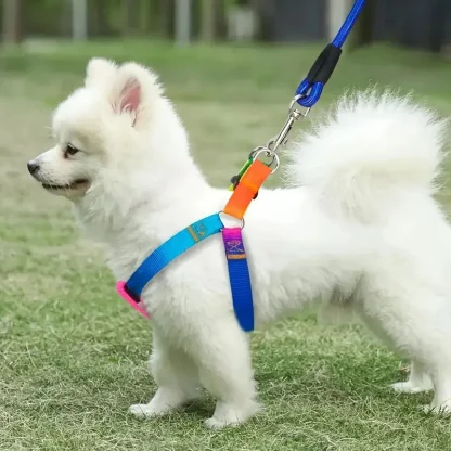 Colorful No-Pull Pet Harness with Adjustable - Image 4